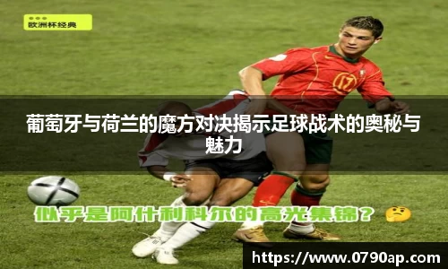 mk体育平台
